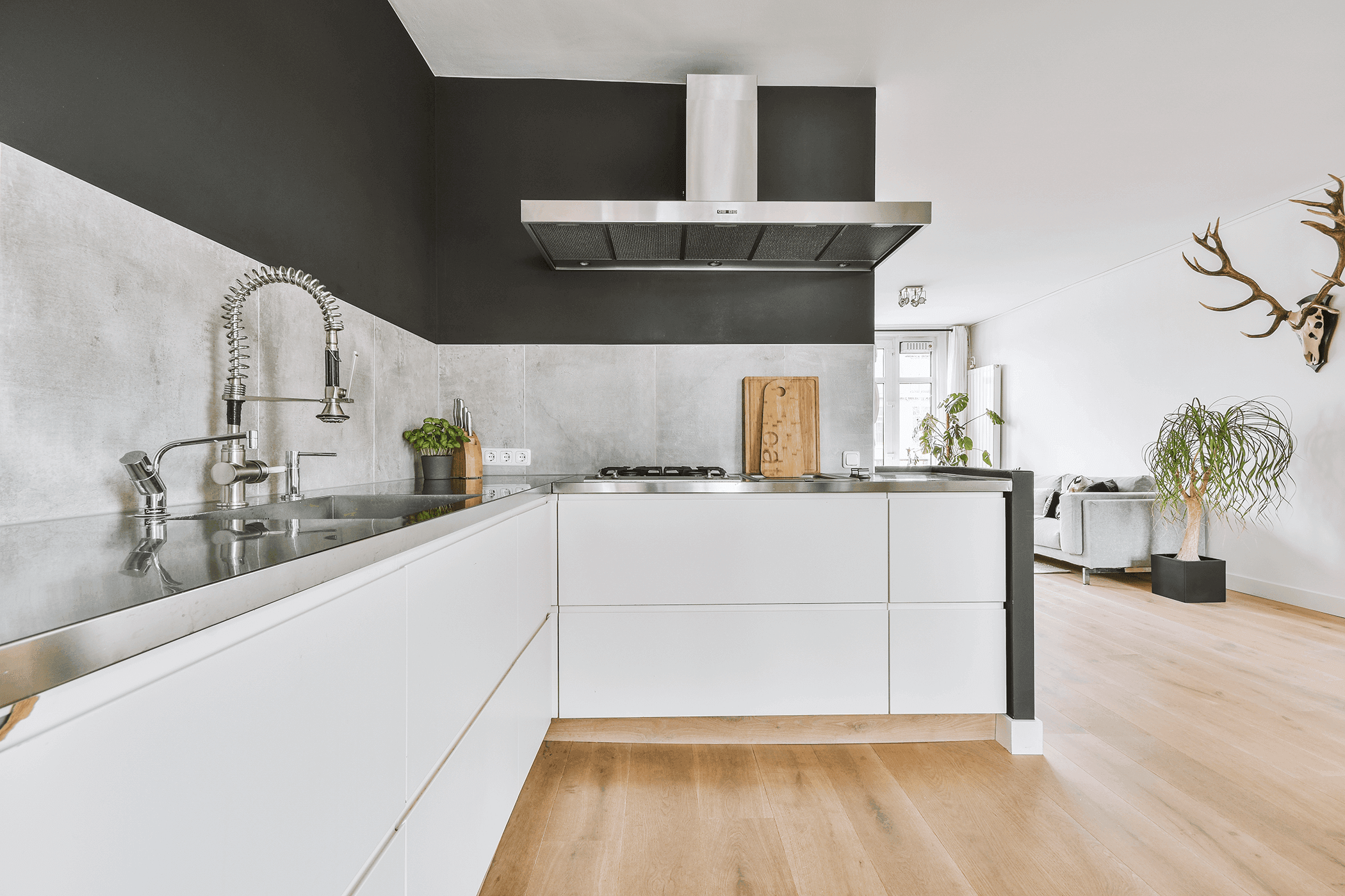 Moderne Küche mit weißen Fronten, Edelstahlarbeitsplatte und -dunstabzug sowie dunkler Wandgestaltung und Holzboden.
